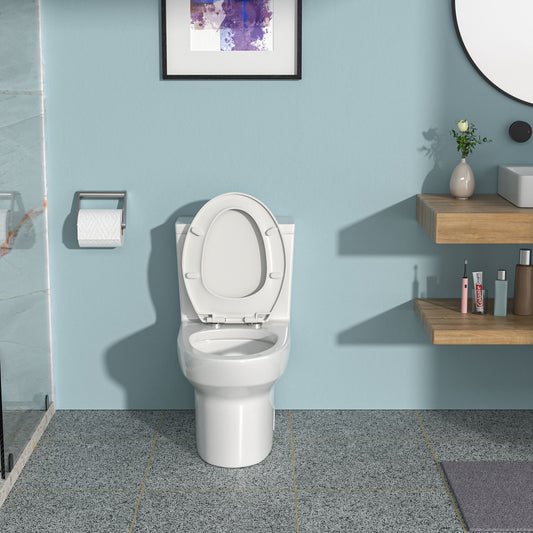 Modern Ceramic One-Piece Toilet with Dual Flush and Soft-Close Seat