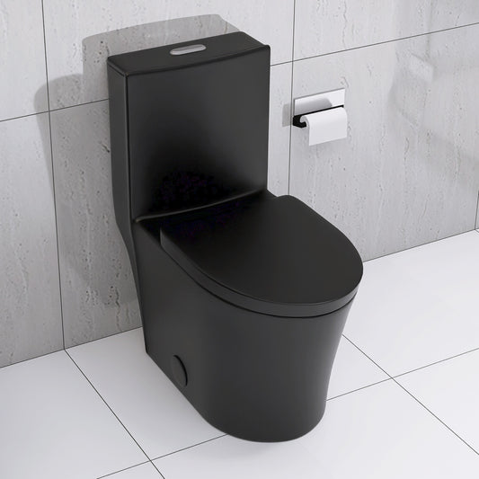 Matte Black Modern Elongated One-Piece Toilet with Dual Flush and Soft-Close Seat