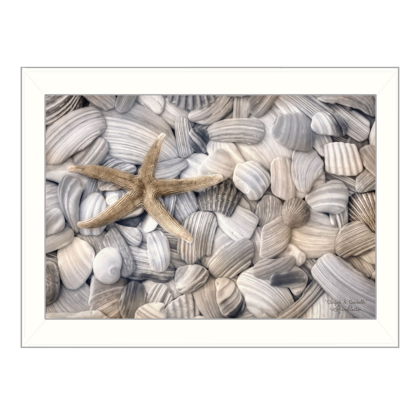 Coastal Wall Art: Starfish and Seashell Printed Poster, 20x14 in Ready-to-Hang Framed Ocean Decor, White