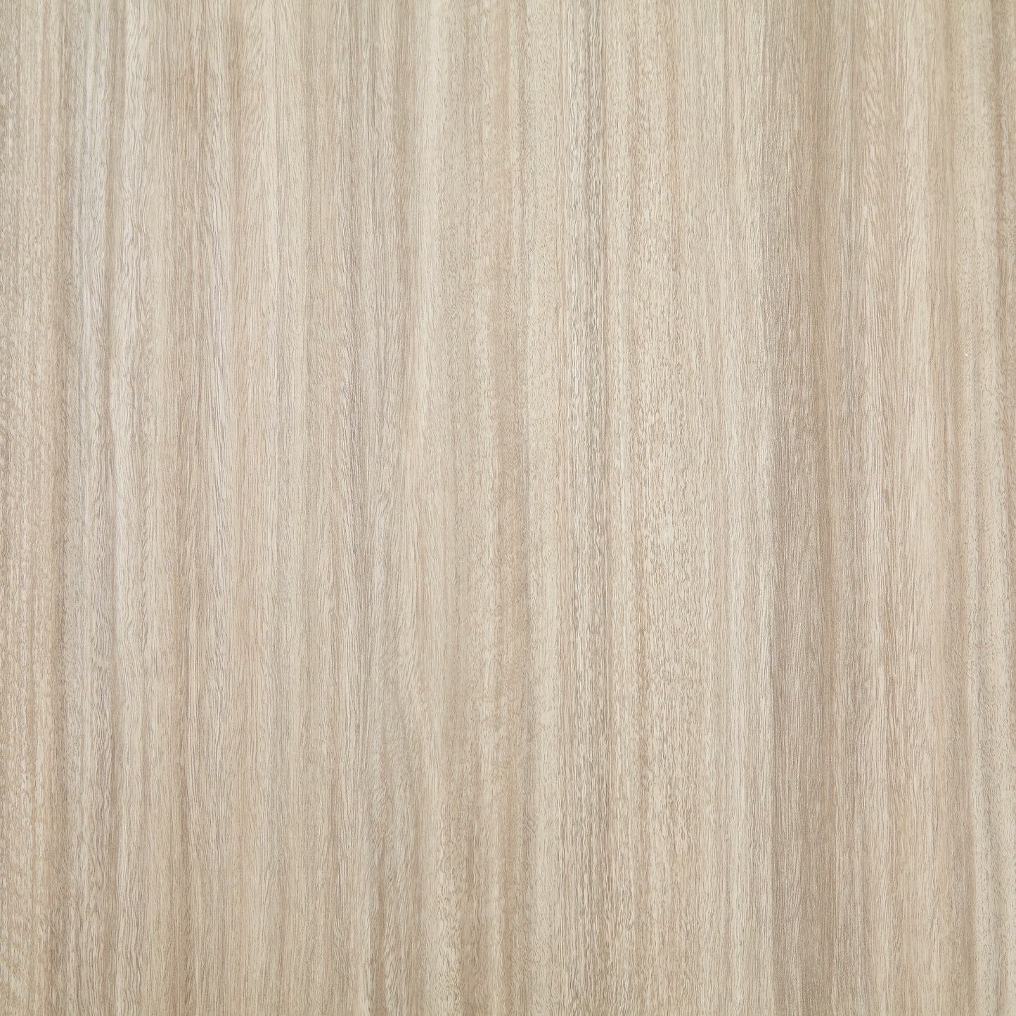 Modern Rectangular Dining Table White And Natural Wood