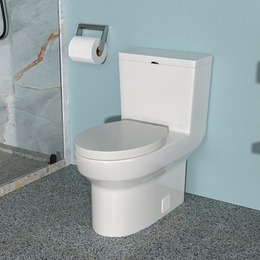 Modern Ceramic One-Piece Toilet with Soft-Close Seat and Efficient Siphon Flush