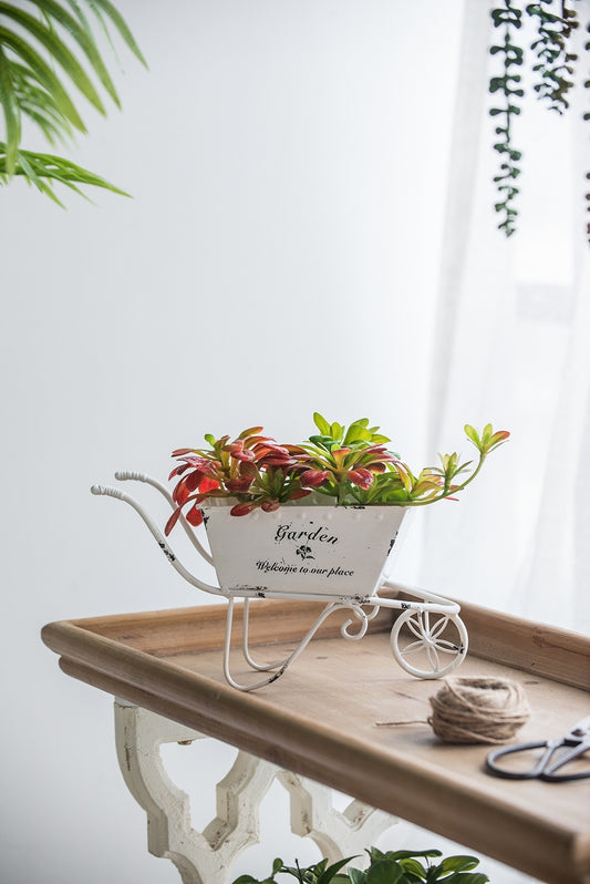 Tabletop Metal Wheelbarrow Planter for Succulents, 11.5x4x7 in, Distressed Decor, Antique White