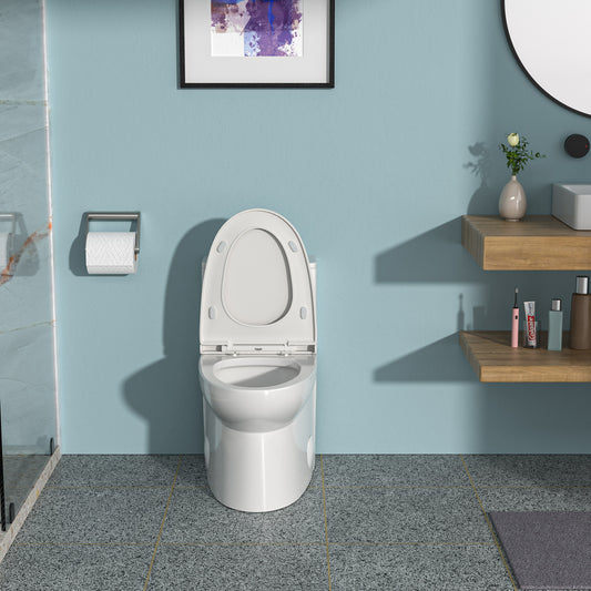 Modern Ceramic One-Piece Toilet with Dual Flush & Soft-Close Seat