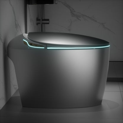 Modern Intelligent One-Piece Smart Toilet with Built-In Bidet, Auto Open/Close Seat, Foot Sensor, LED Night Light, Warm Water & Dryer, Grey Finish