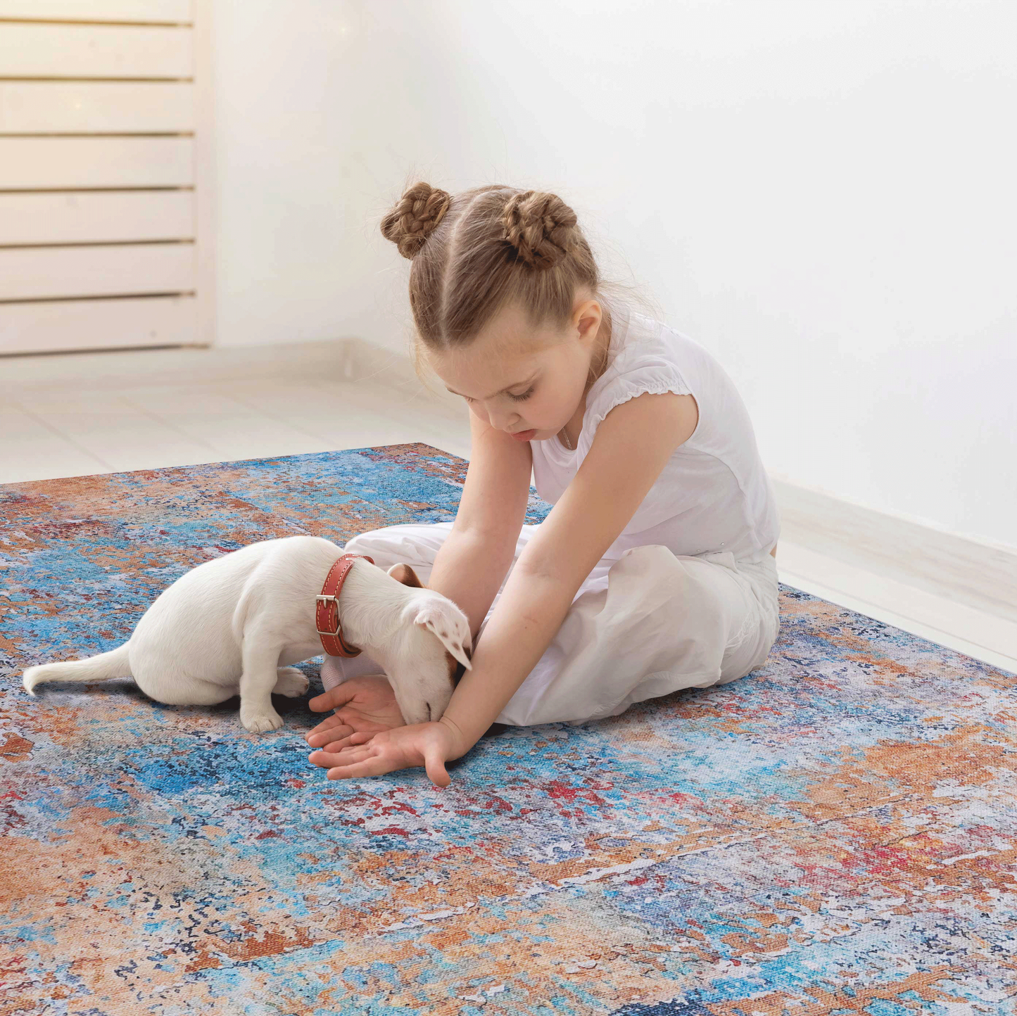 2x3 Machine-Washable Low-Pile Area Rug, Non-Slip, Foldable, Kid & Pet Friendly, Living Room Rug - Multi