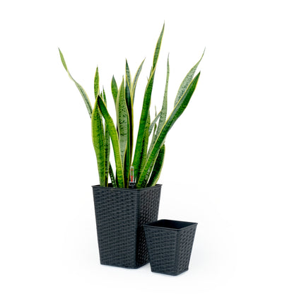 2-Pack Self-Watering Square Planters for Indoor/Outdoor, Hand-Woven Wicker, UV & Frost-Resistant Espresso