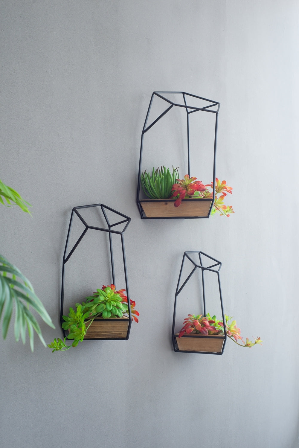 Geometric Iron Wall Planters Set of 3 with Fir Wood Bins, Large/Medium/Small, Wall-Mounted, Black & Brown