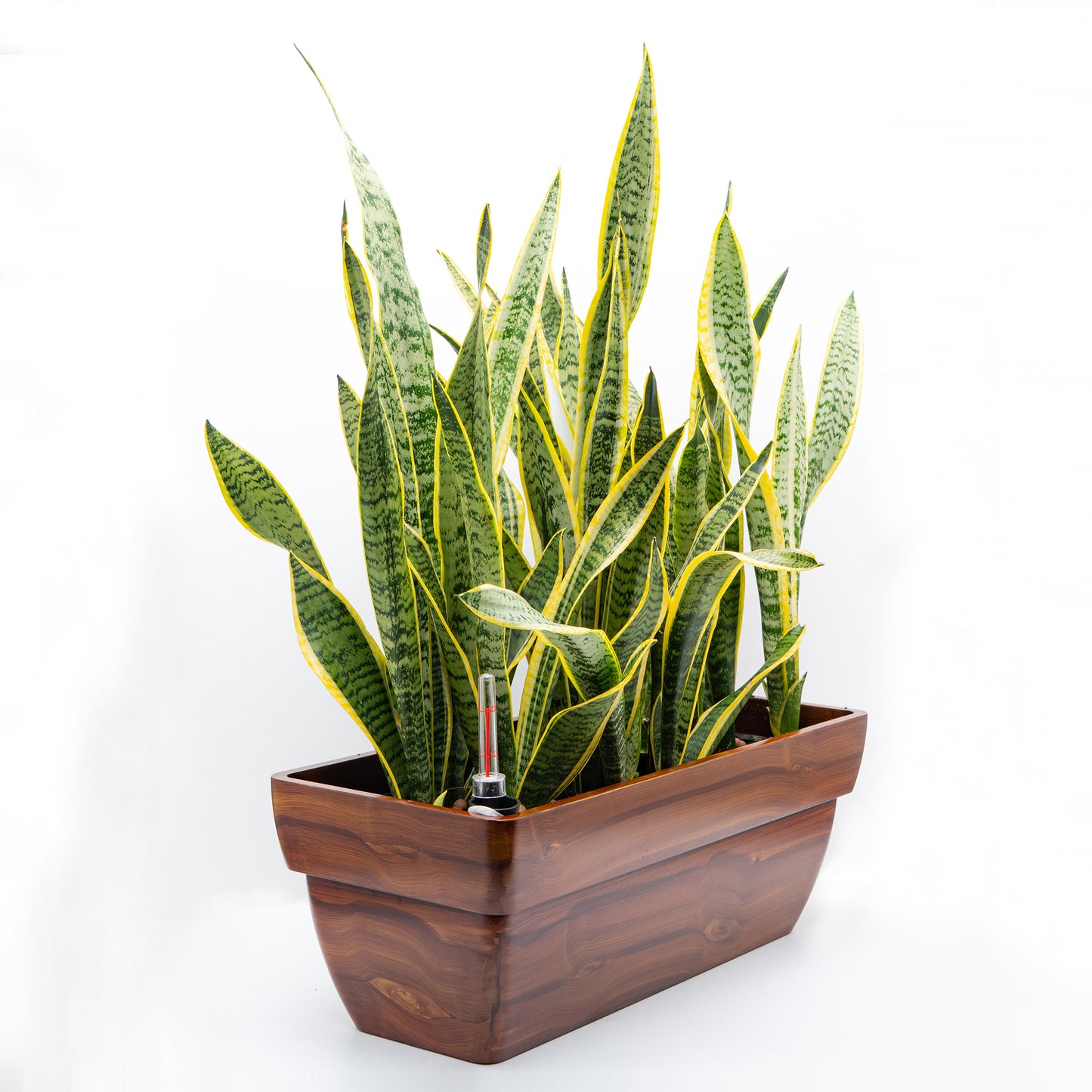 Self-Watering Rectangular Planter with Water Level Indicator, Drainage, Wood-Look, Dark Wood