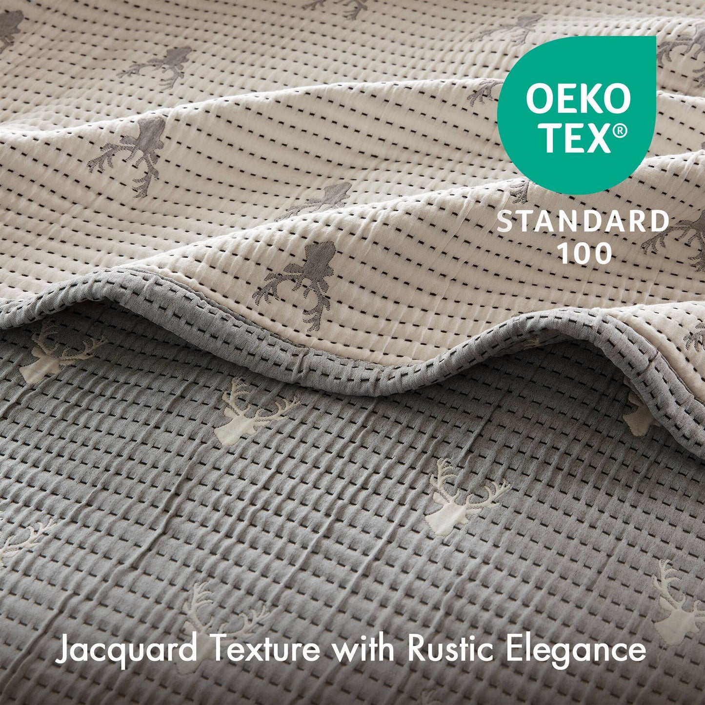 21529808