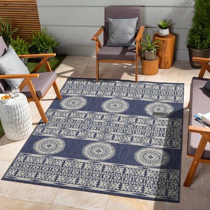 Indoor/Outdoor Area Rug, 2 ft 7 in x 7 ft 3 in, Polypropylene, Stain-Resistant, Entryway/Patio, Blue