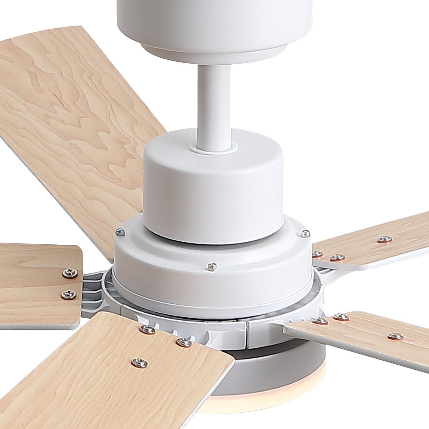21495708