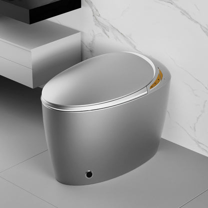 Modern Intelligent One-Piece Smart Toilet with Built-In Bidet, Auto Open/Close Seat, Foot Sensor, LED Night Light, Warm Water & Dryer, Grey Finish