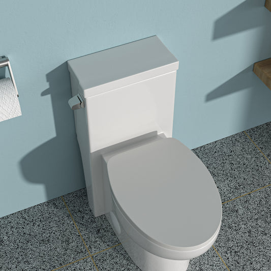 Modern Ceramic One-Piece Toilet with Quiet Flush and Soft-Close Seat