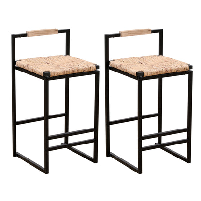 Set Of 2 Counter Height Water Hyacinth Bar Stools With Back