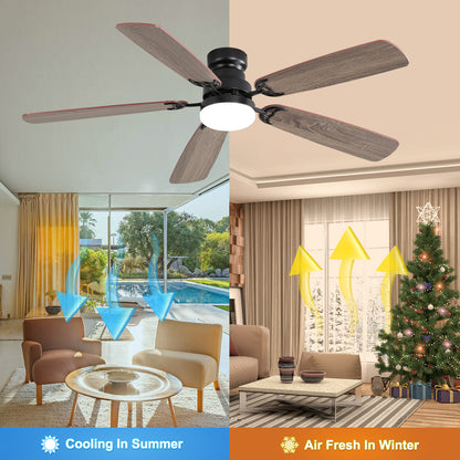 21495044
