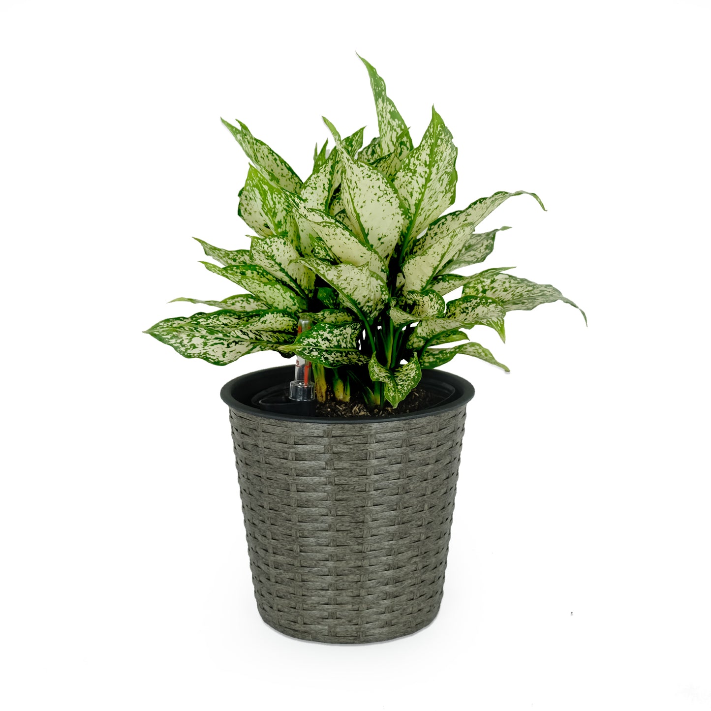 Self-Watering Wicker Planter, Round 10.2-In Diameter for Indoor/Outdoor Use, Plastic-Lined, Grey
