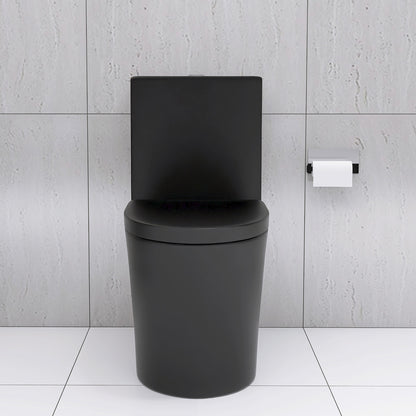 Matte Black Modern Elongated One-Piece Toilet with Dual Flush and Soft-Close Seat