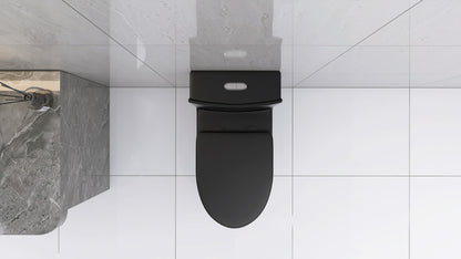 Matte Black Modern Elongated One-Piece Toilet with Dual Flush and Soft-Close Seat