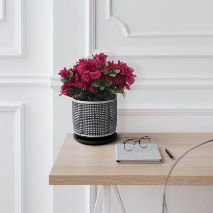 6-Inch Ceramic Mesh Planter with Saucer, Indoor/Outdoor Plant Pot for Succulents, Drainage Holes, Gray