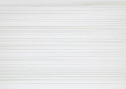 Sleek White Contemporary Queen Bed with Elegant Black Accents