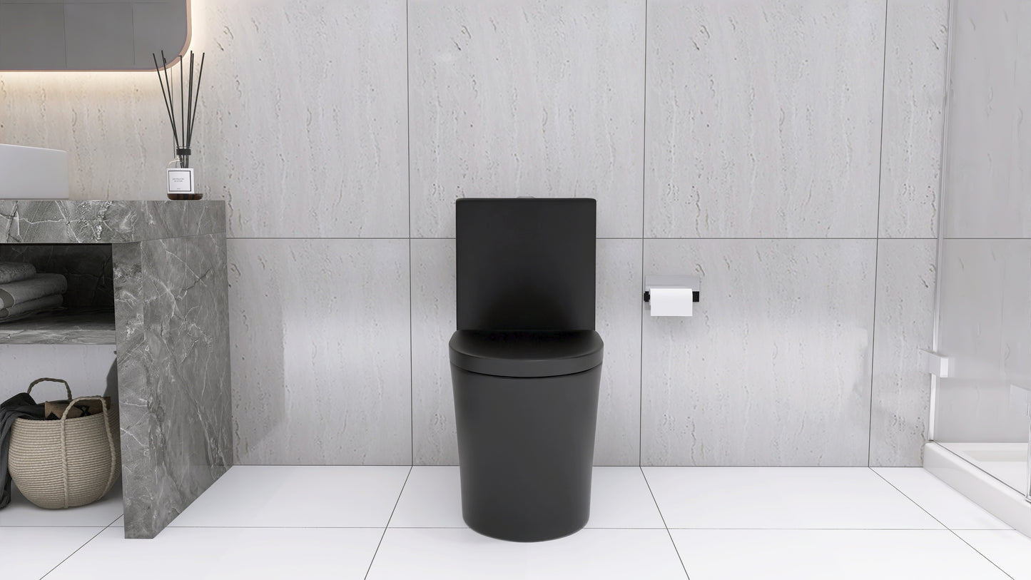 Matte Black Modern Elongated One-Piece Toilet with Dual Flush and Soft-Close Seat