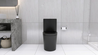 Matte Black Modern Elongated One-Piece Toilet with Dual Flush and Soft-Close Seat