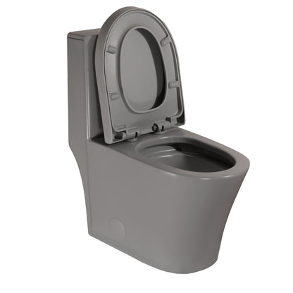 Matte Grey Modern Elongated Toilet with Dual Flush System and Soft-Close Seat
