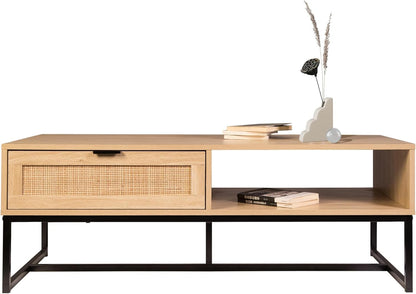 Coastal Modern TV Stand with Drawer and Storage Cubby, 47in L x 21in W x 17in H, Wood Console, Black