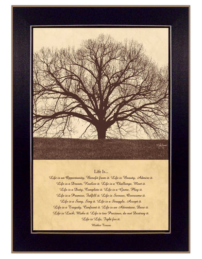 Framed Wall Art - 14 x 10 in Modern Farmhouse Decor for Living Room or Bedroom - MDF Multicolor