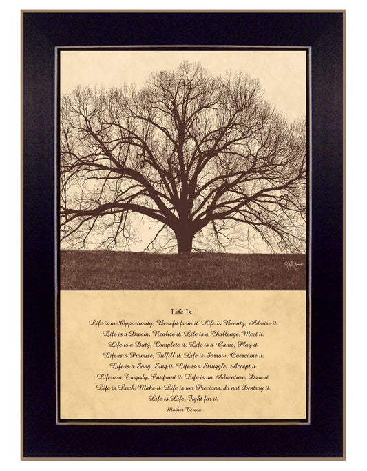 Framed Wall Art - 14 x 10 in Modern Farmhouse Decor for Living Room or Bedroom - MDF Multicolor