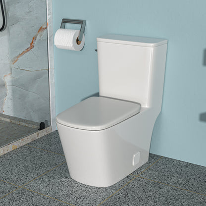 Modern Ceramic One-Piece Toilet with Soft-Close Seat and Efficient Flush System