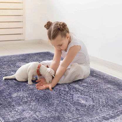 2x3 Machine-Washable Area Rug, Low-Pile, Non-Slip, Foldable, Kid & Pet Friendly, Living Room - Anthracite