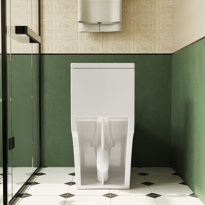 Comfort Height Elongated One-Piece Toilet with Dual-Flush System, CUPC & WaterSense Certified, Ceramic, White, Soft Close Seat, T036WT