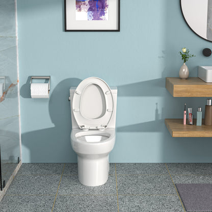Modern Ceramic One-Piece Toilet with Soft-Close Seat and Efficient Siphon Flush